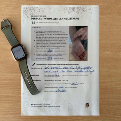 DER BEAT DEINES LEBENS – Unterrichtsmaterial – Bild 9
